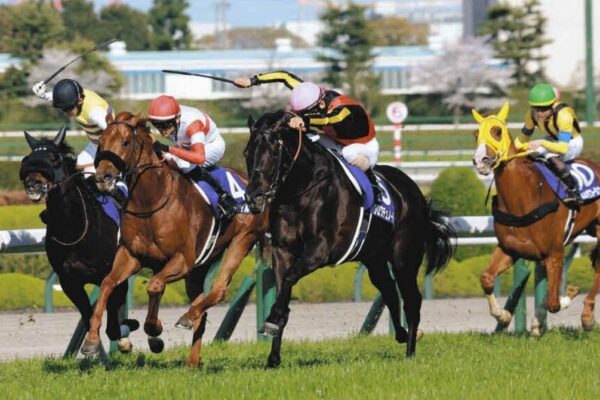 天皇賞春2026予想！大穴狙いで逝くぜぇ！