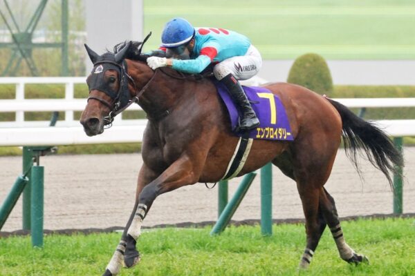 阪神牝馬S2026データ分析！大穴はこの馬じゃー！