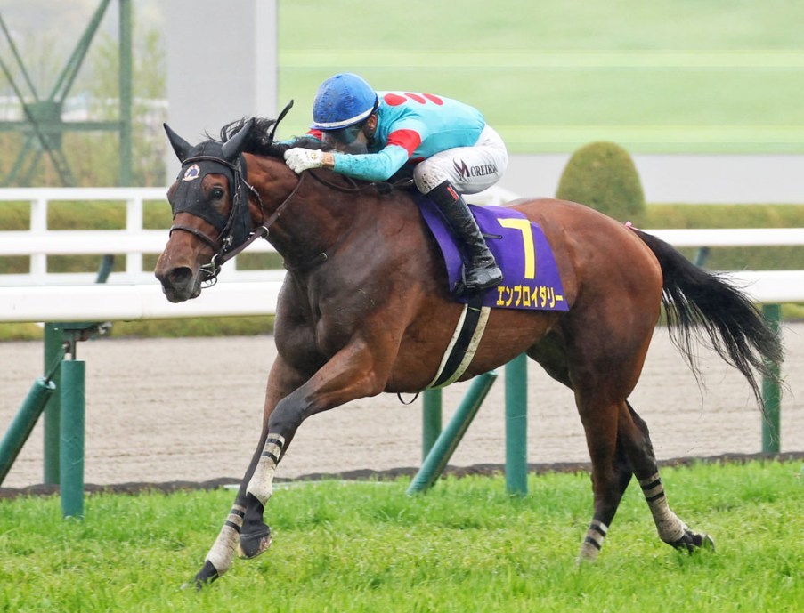 阪神牝馬S2026データ分析！大穴はこの馬じゃー！