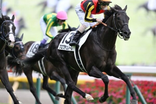 大阪杯2026データ分析！大穴はこの馬じゃー！