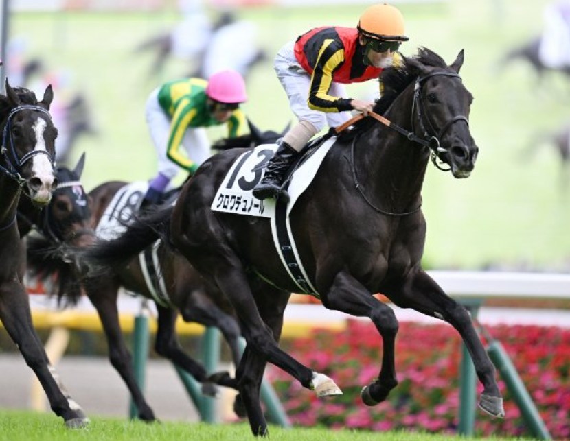 大阪杯2026データ分析！大穴はこの馬じゃー！