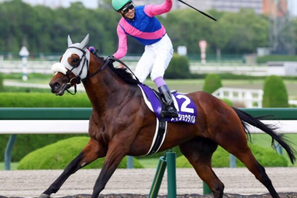 大阪杯2026調教チェック！特A評価・調教爆穴はこの馬だ！