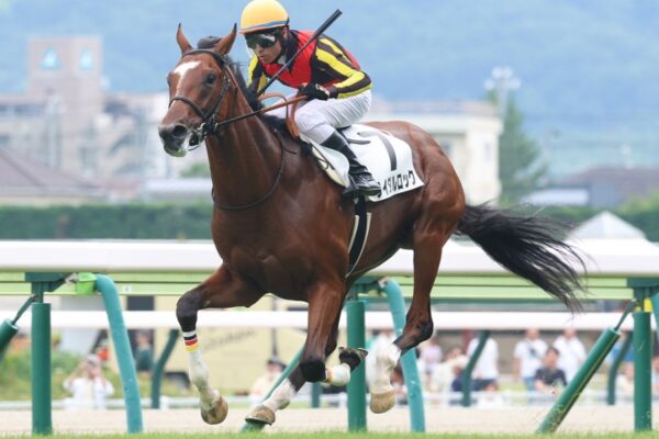 青葉賞2026予想！大穴狙いで逝くぜぇ！