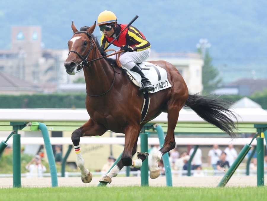 青葉賞2026予想！大穴狙いで逝くぜぇ！