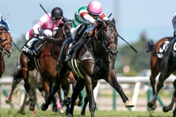 ダービー卿CT2026データ分析！大穴はこの馬じゃー！