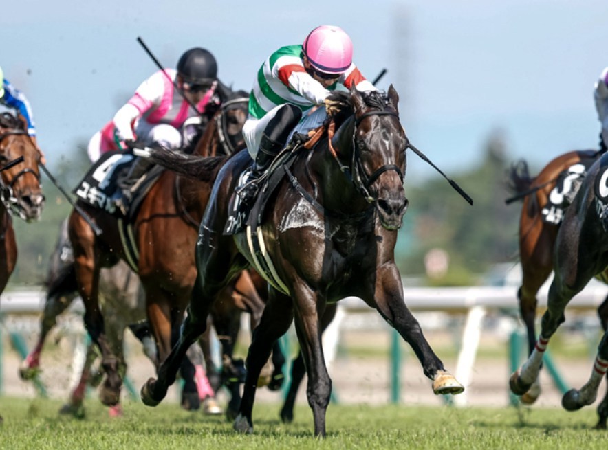 ダービー卿CT2026データ分析！大穴はこの馬じゃー！