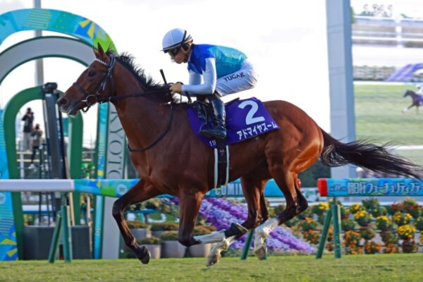 マイラーズカップ2026データ分析！大穴はこの馬じゃー！