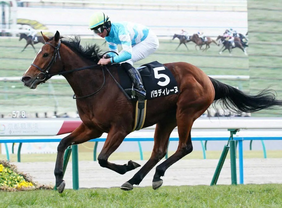 福島牝馬Ｓ2026データ分析！大穴はこの馬じゃー！