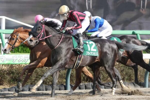 アンタレスS2026予想！大穴狙いで逝くぜぇ！