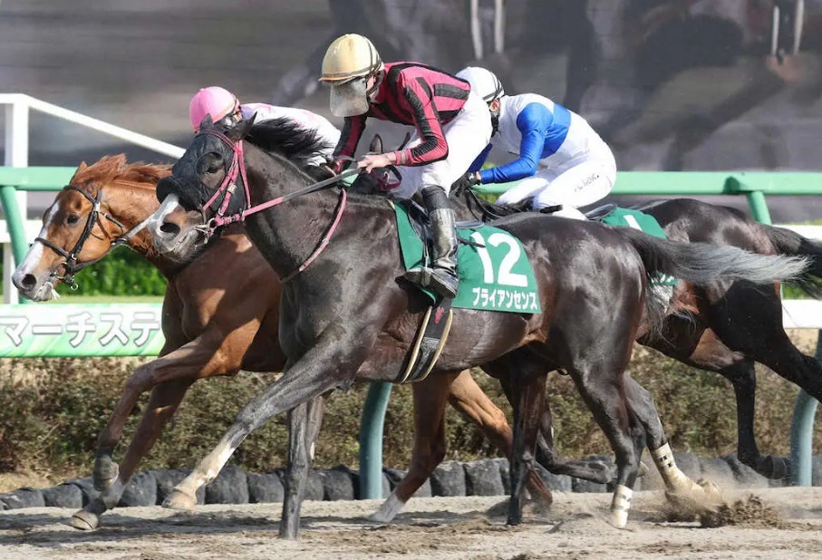 アンタレスS2026予想！大穴狙いで逝くぜぇ！