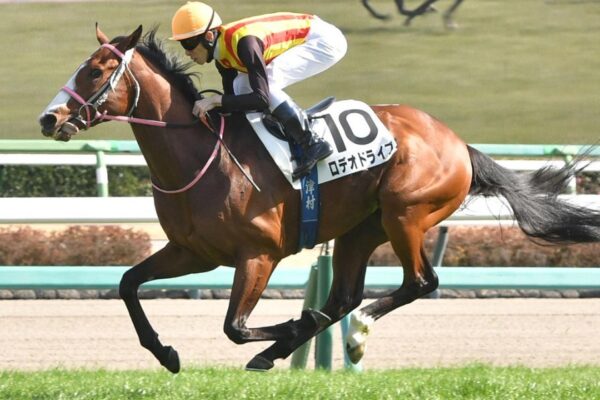 ニュージーランドT2026データ分析！大穴はこの馬じゃー！