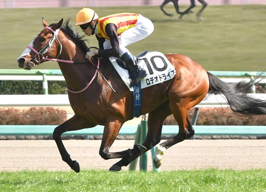 ニュージーランドT2026データ分析！大穴はこの馬じゃー！