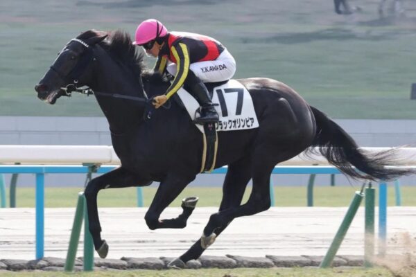 青葉賞2026データ分析！大穴はこの馬じゃー！