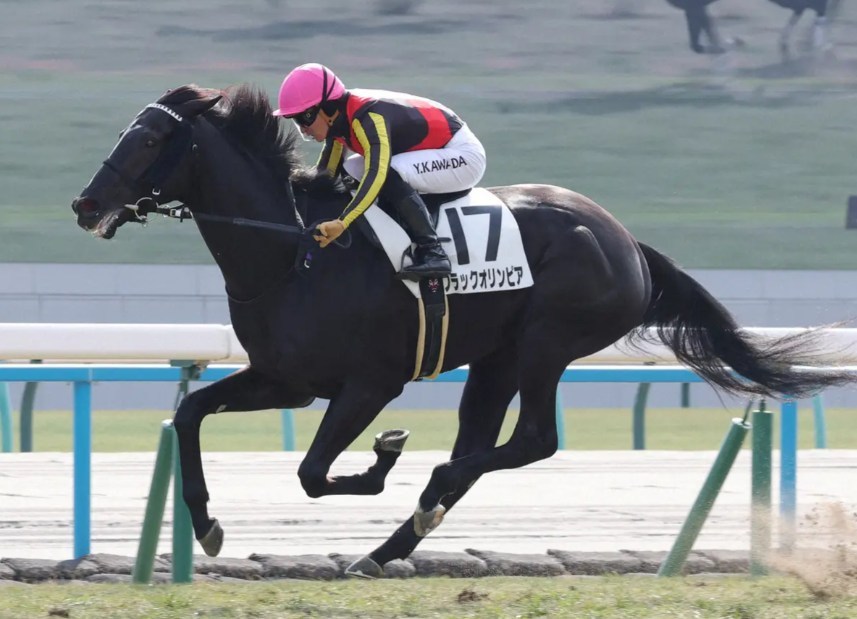 青葉賞2026データ分析！大穴はこの馬じゃー！