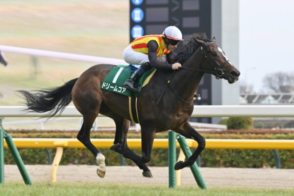 桜花賞2026データ分析！大穴はこの馬じゃー！