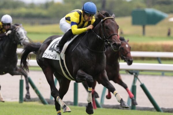 チャーチルダウンズC2026データ分析！大穴はこの馬じゃー！