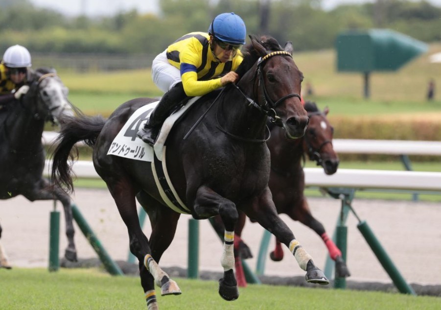 チャーチルダウンズC2026データ分析！大穴はこの馬じゃー！