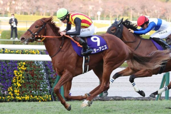 桜花賞2026予想！大穴狙いで逝くぜぇ！