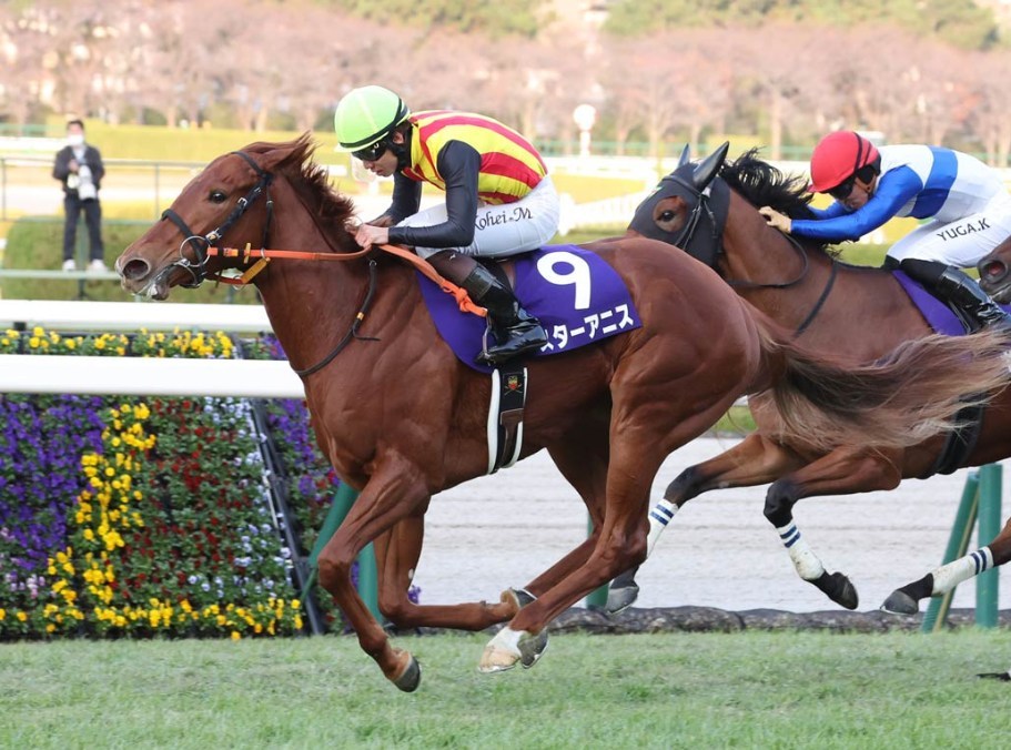 桜花賞2026予想！大穴狙いで逝くぜぇ！