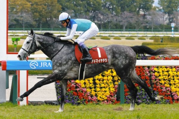 天皇賞春2026データ分析！大穴はこの馬じゃー！