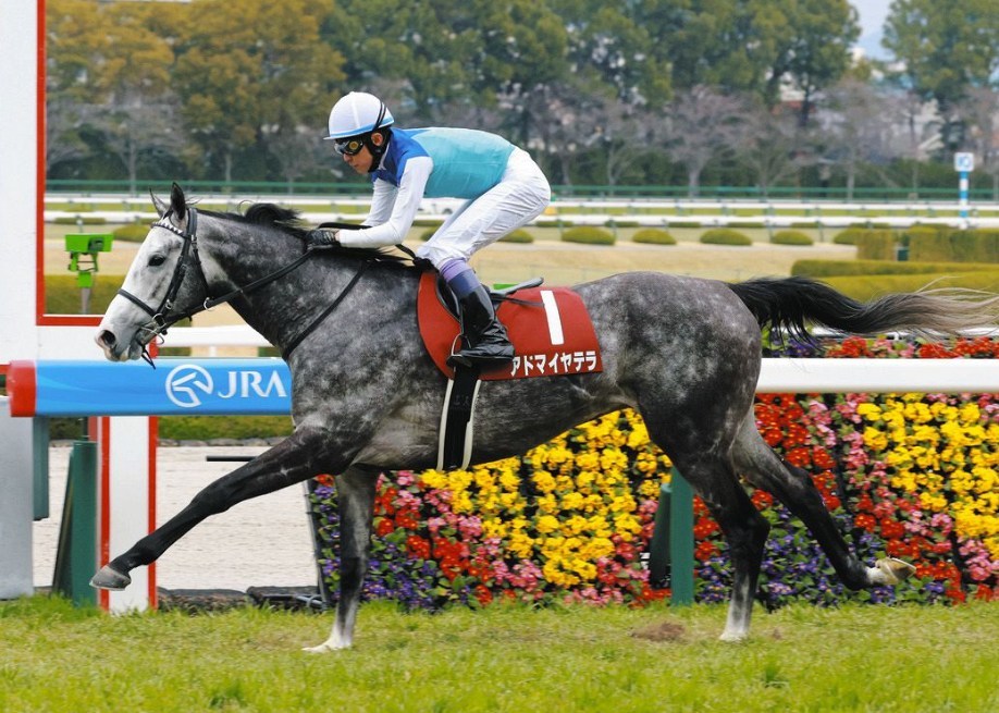 天皇賞春2026データ分析！大穴はこの馬じゃー！