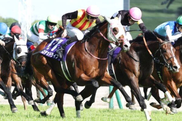 新潟記念2026データ分析！大穴はこの馬じゃー！