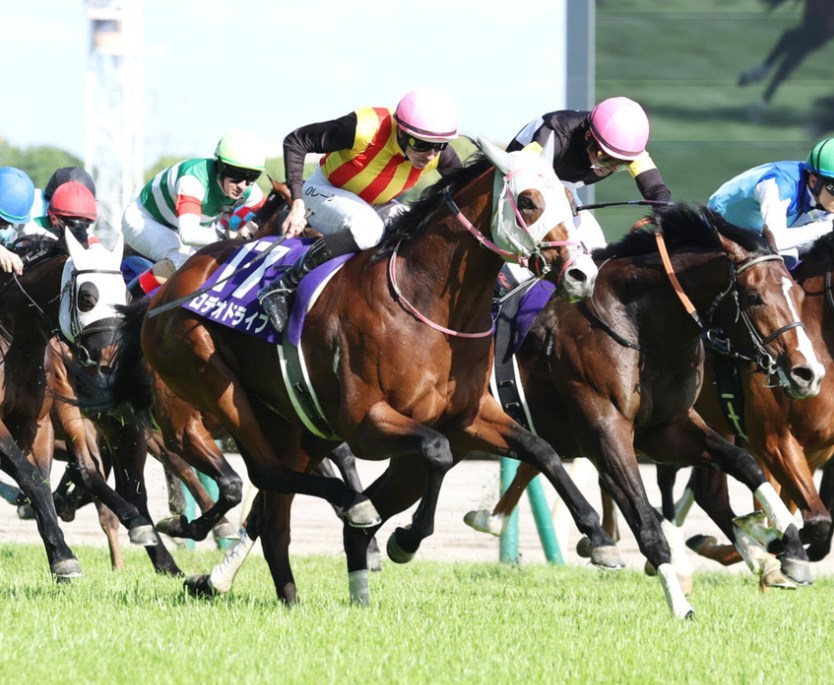 新潟記念2026データ分析！大穴はこの馬じゃー！