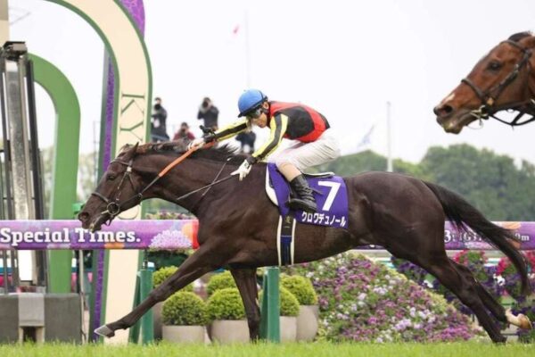 天皇賞秋2026データ分析！大穴はこの馬じゃー！