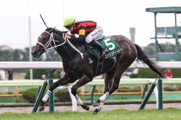 葵ステークス2026予想！大穴狙いで逝くぜぇ！