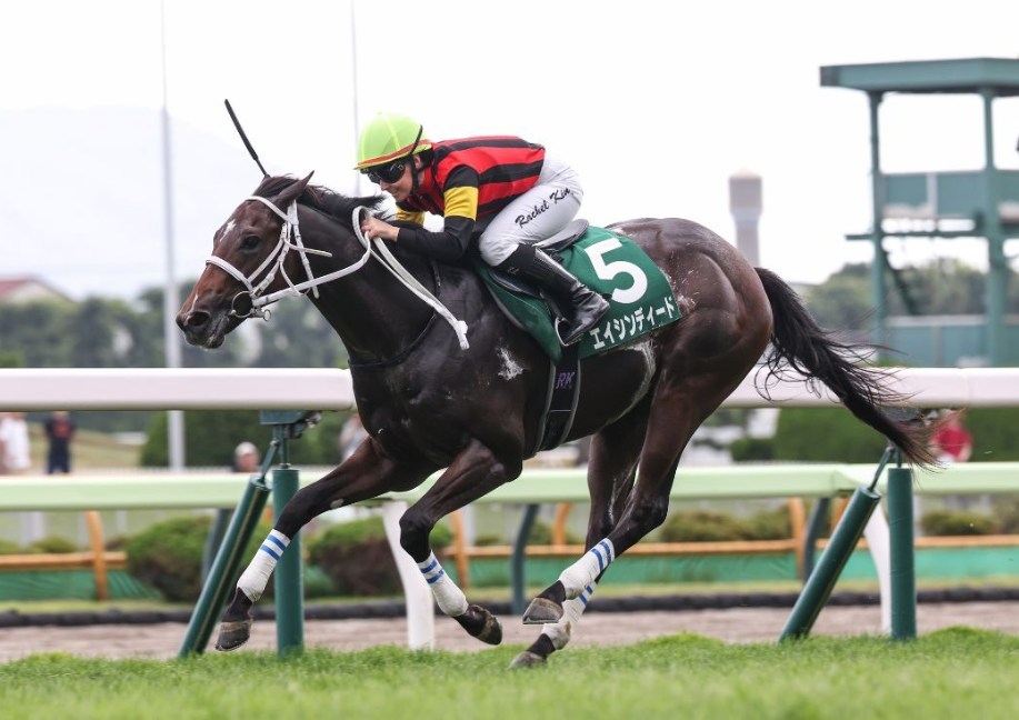 葵ステークス2026予想！大穴狙いで逝くぜぇ！