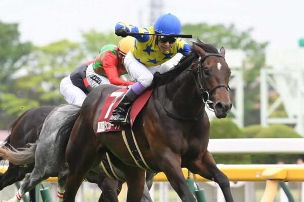 新潟大賞典2026予想！大穴狙いで逝くぜぇ！