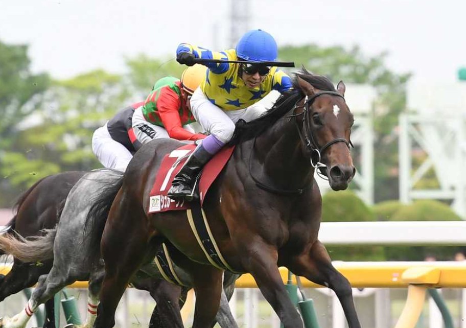 新潟大賞典2026予想！大穴狙いで逝くぜぇ！