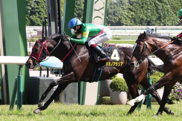 葵Ｓ2026データ分析！大穴はこの馬じゃー！