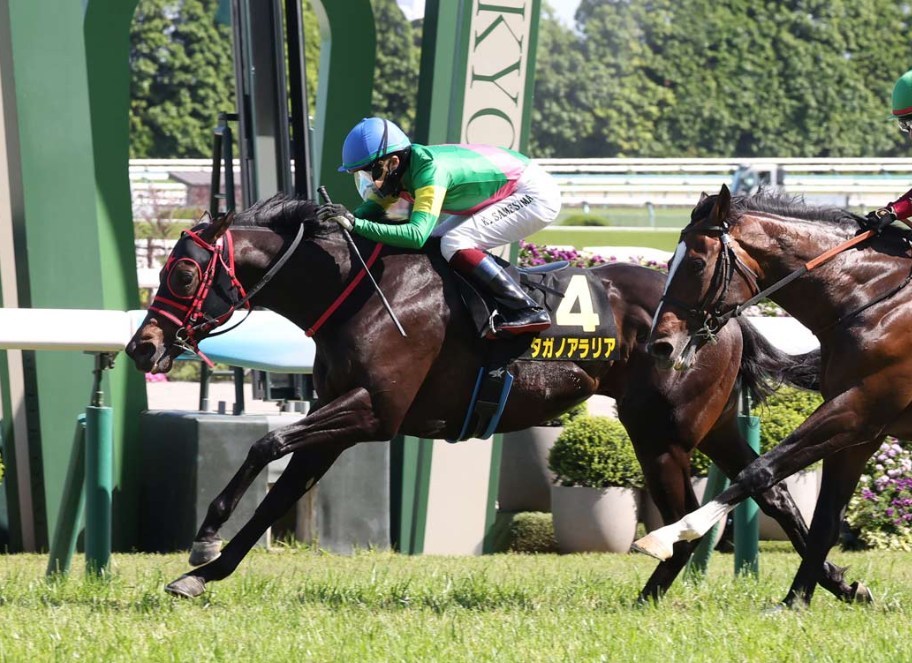 葵Ｓ2026データ分析！大穴はこの馬じゃー！