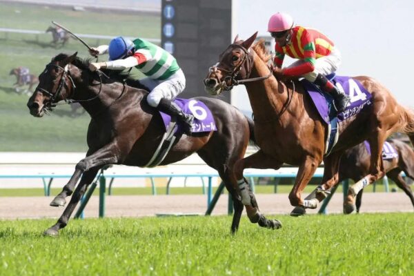 天皇賞春2026調教チェック！特Ａ評価・調教爆穴はこの馬だ！