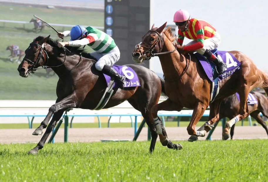 天皇賞春2026調教チェック！特Ａ評価・調教爆穴はこの馬だ！