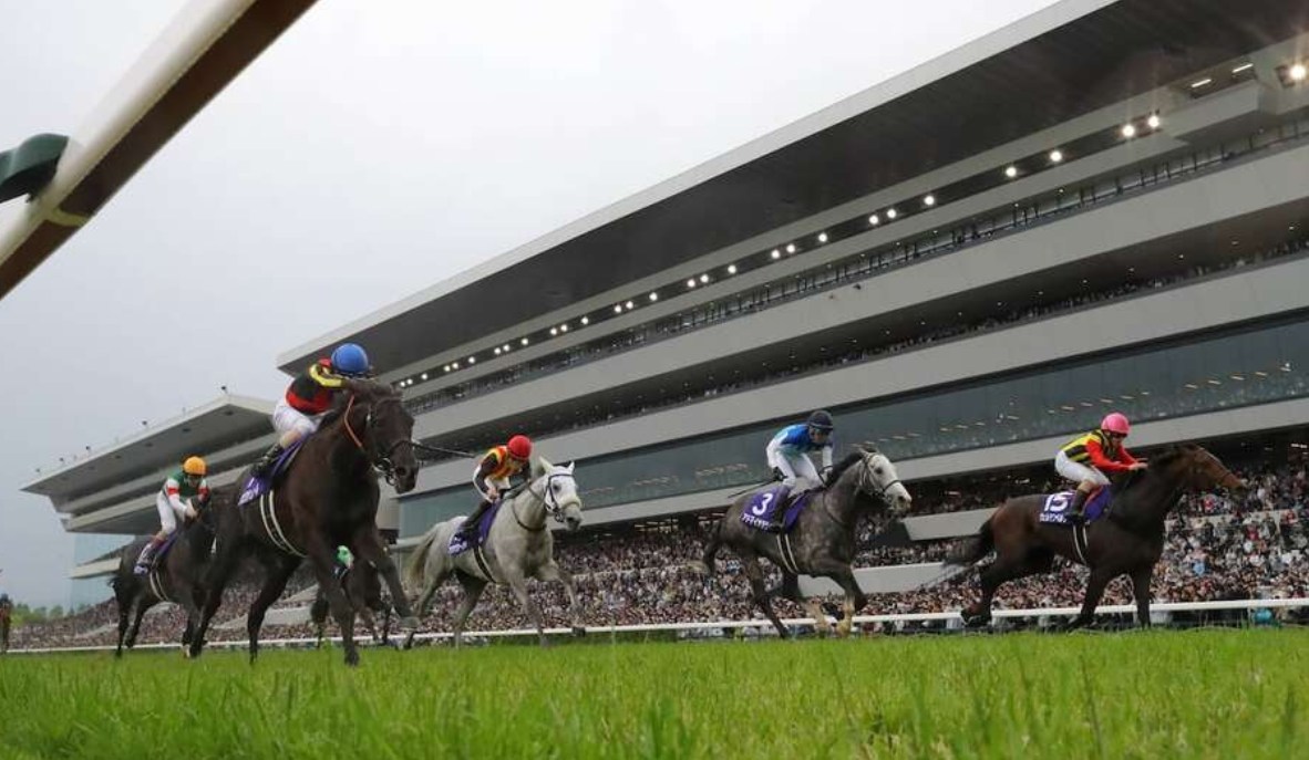 天皇賞春2026レース回顧！クロワデュノールGⅠ4勝目！ | 浅次郎の