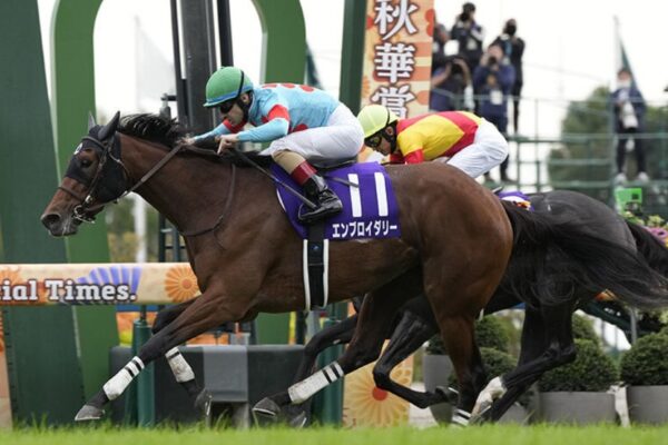 ヴィクトリアマイル2026データ分析！大穴はこの馬じゃー！