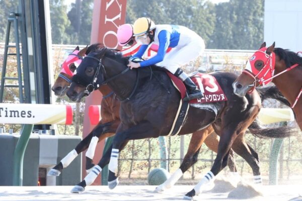 平安S2026データ分析！大穴はこの馬じゃー！