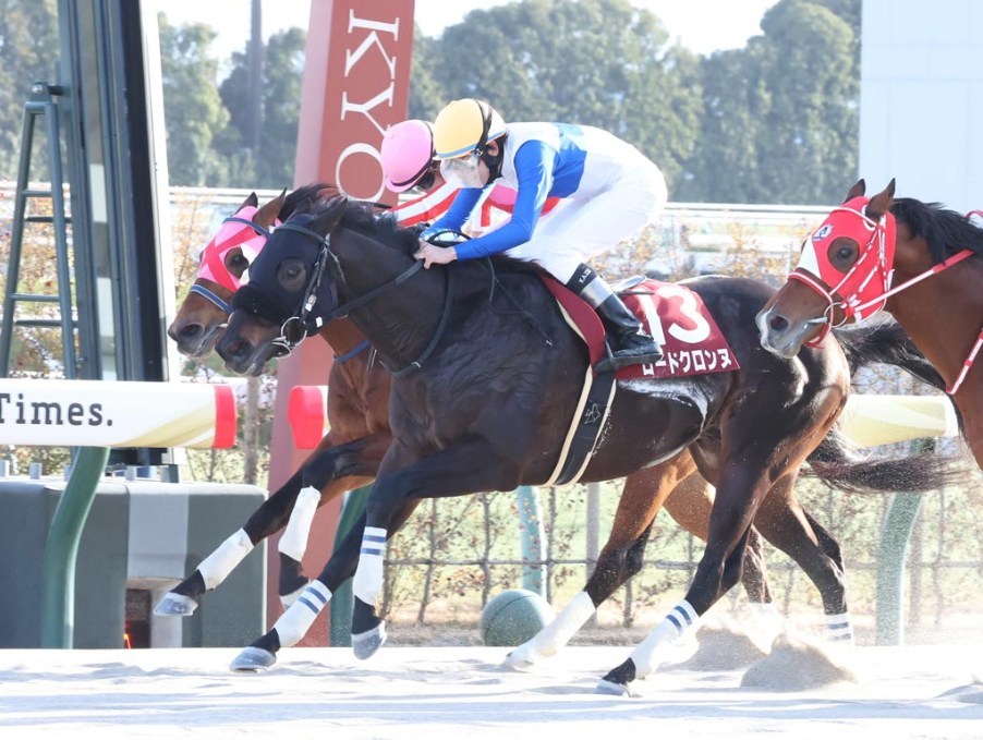 平安S2026データ分析！大穴はこの馬じゃー！