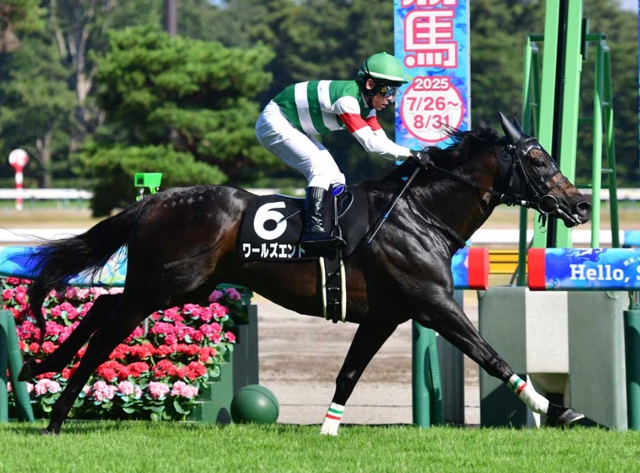 京王杯スプリングC2026予想！大穴狙いで逝くぜぇ！