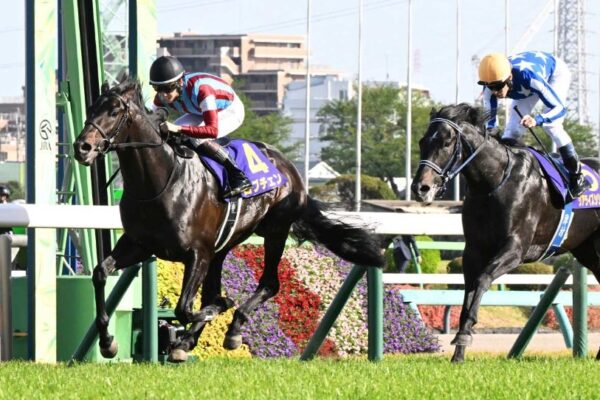 日本ダービー2026データ分析！大穴はこの馬じゃー！