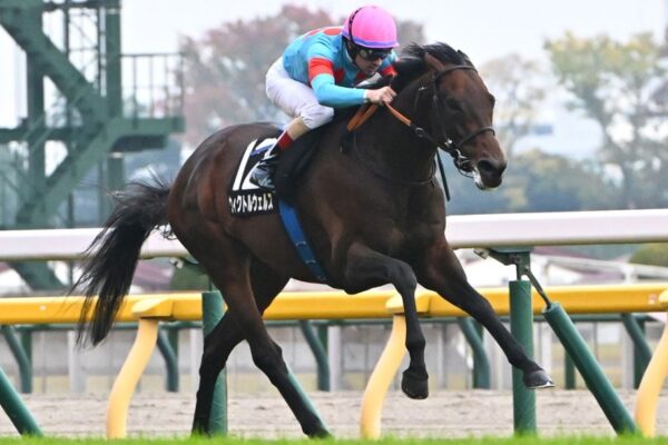 目黒記念2026データ分析！大穴はこの馬じゃー！