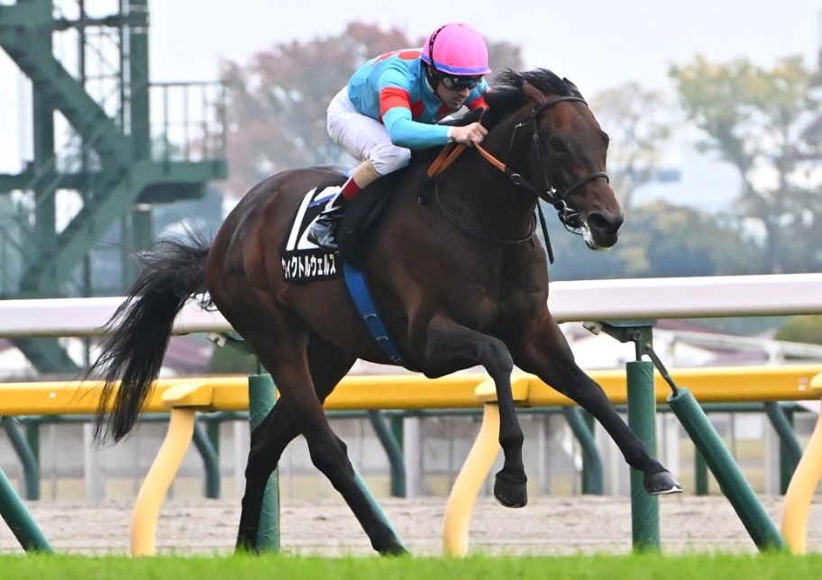 目黒記念2026データ分析！大穴はこの馬じゃー！