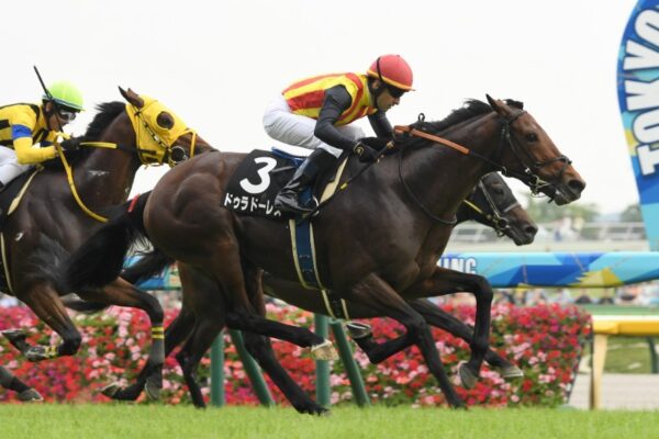 新潟大賞典2026データ分析！大穴はこの馬じゃー！