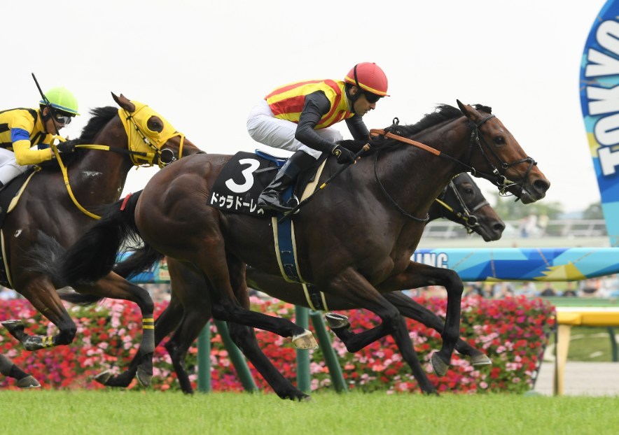 新潟大賞典2026データ分析！大穴はこの馬じゃー！