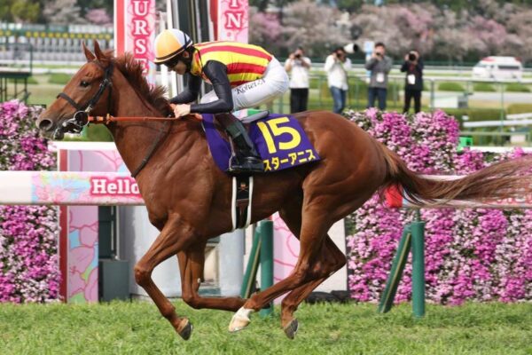 オークス2026データ分析！大穴はこの馬じゃー！