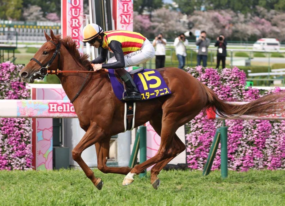 オークス2026データ分析！大穴はこの馬じゃー！