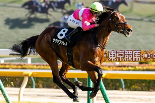 エプソムC2026データ分析！大穴はこの馬じゃー！