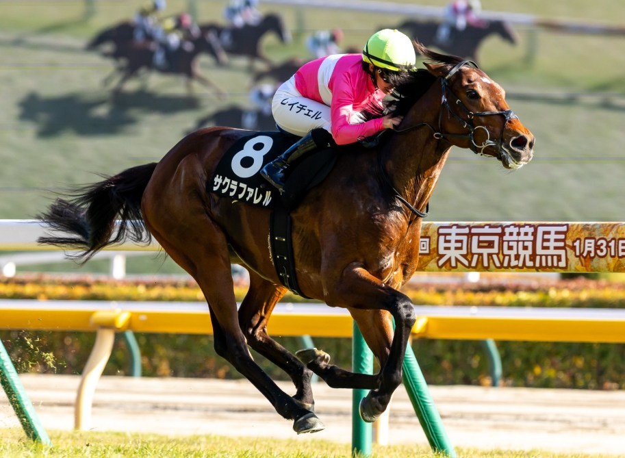 エプソムC2026データ分析！大穴はこの馬じゃー！